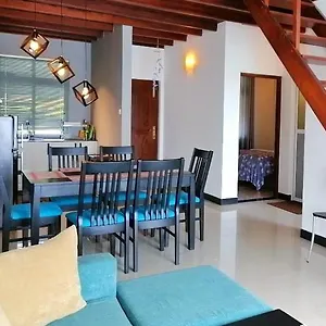 Lakeville Apartment