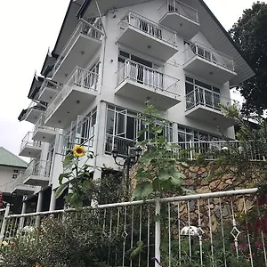 Misty Paradise Of Gregory Nuwara Eliya